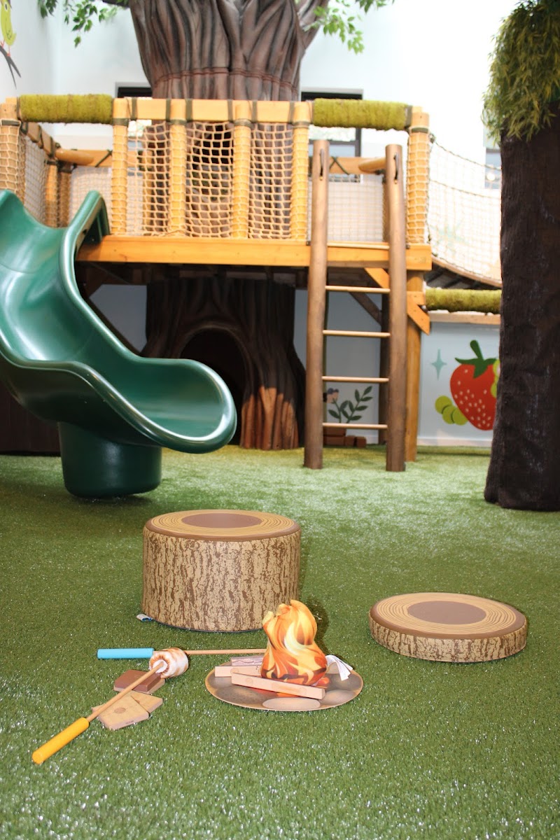 Chelsea Forest Play — Indoor Playground in New York