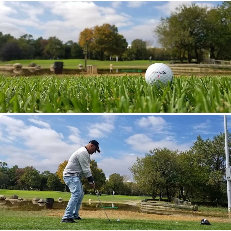 Flushing Meadows Pitch & Putt — Miniature Golf Course in New York