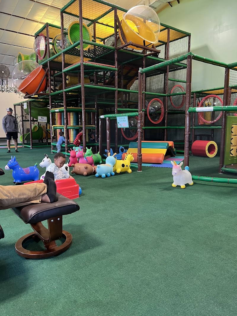Jungle Jam Party and Play — Amusement Center in New Braunfels