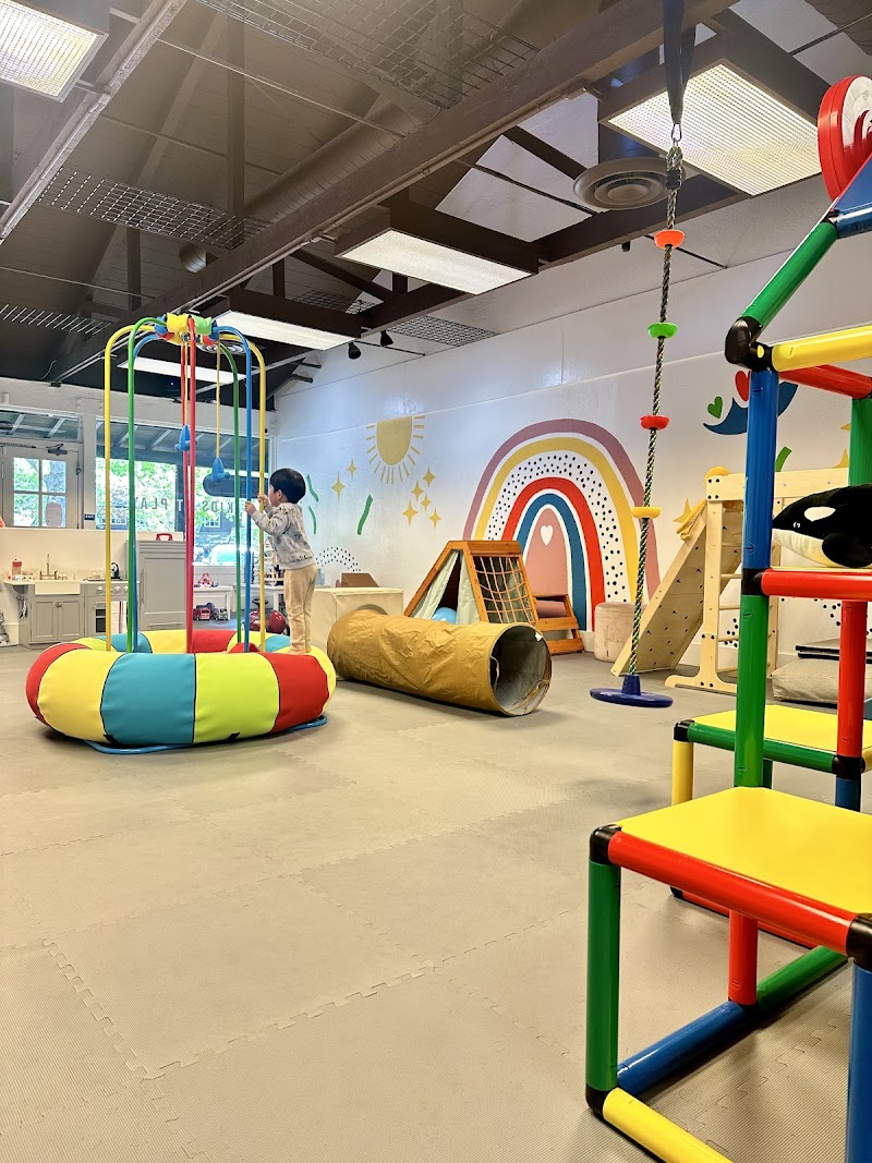 Play All Day — Indoor Playground in Danville