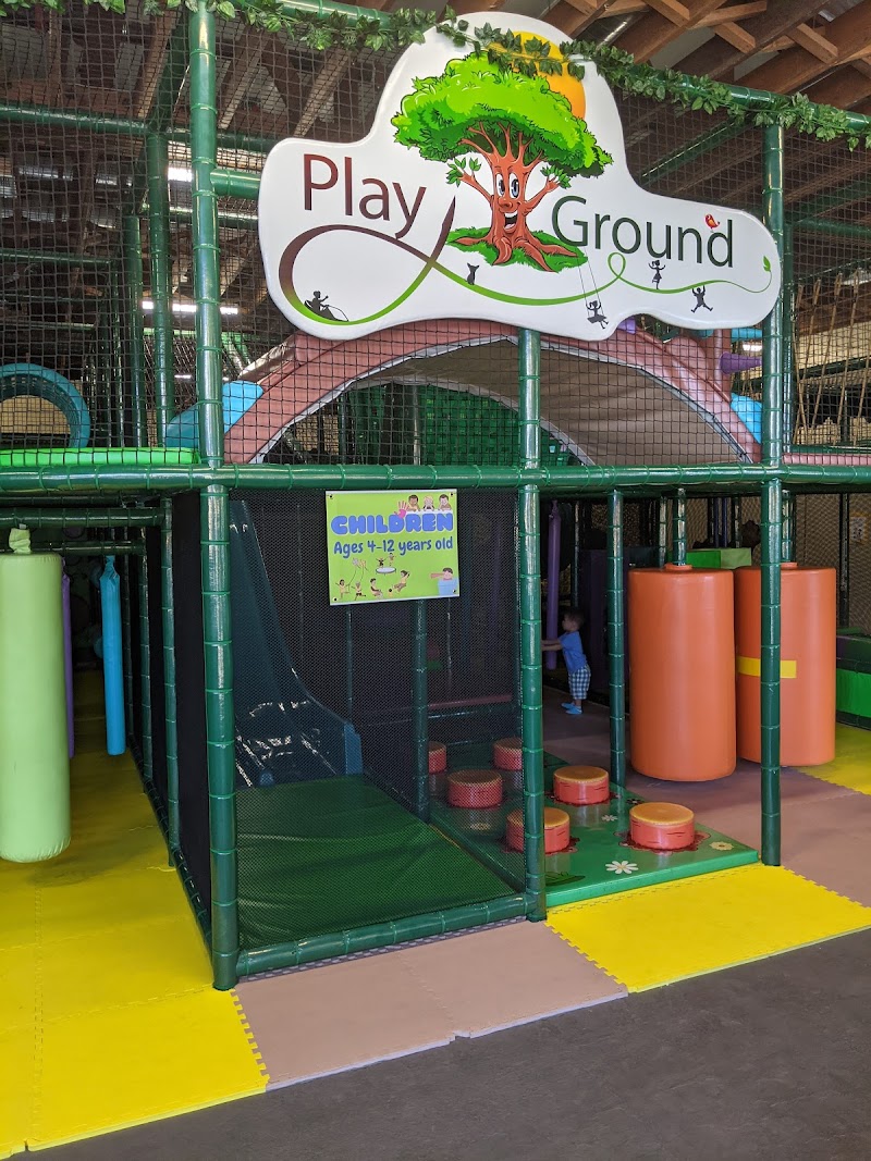 Play Ground, LLC — Indoor Playground in Castro Valley
