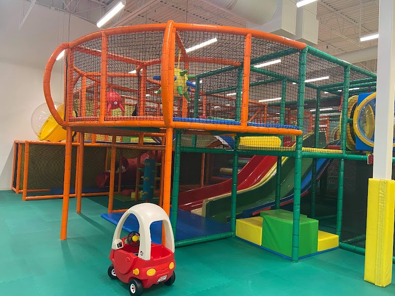 Safari Auburn — Indoor Playground in Auburn
