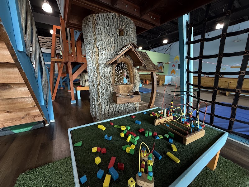 The Monkey’s Treehouse Play Space & Eatery — Amusement Center in Brentwood