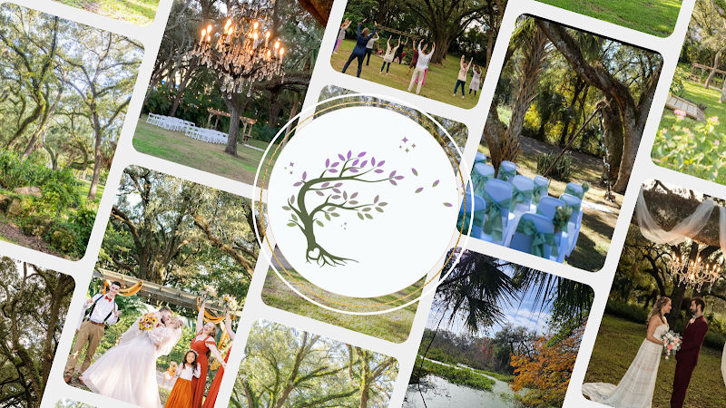 Under the Oaks Wellness and Events — Event Venue in Tampa