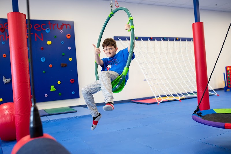 We Rock the Spectrum Kid's Gym - Franklin, TN — Indoor Playground in Franklin