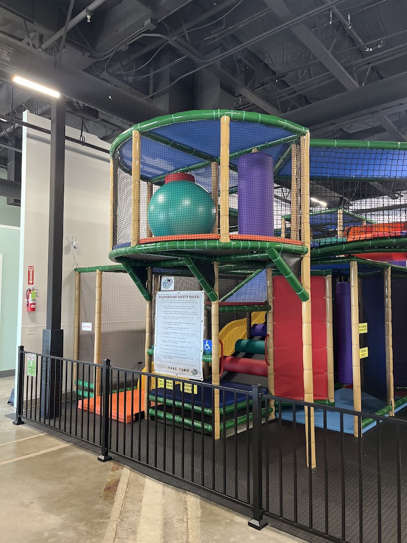 Wildlings Play Place — Indoor Playground in Oregon City