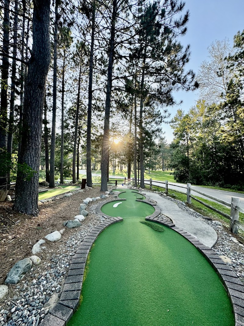 Wildwedge Golf, Mini Golf & Maze — Miniature Golf Course in Pequot Lakes